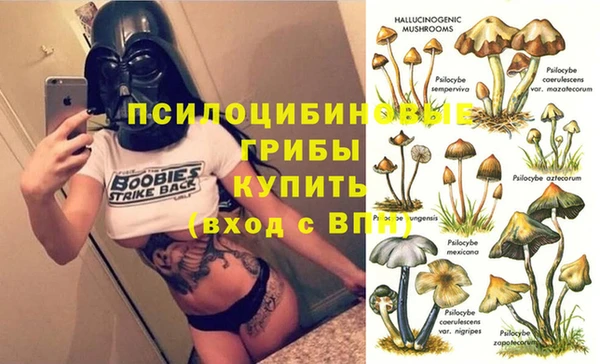 таблы Алзамай